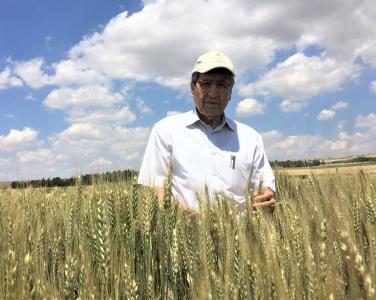 Prof. Dr. Hamit Köksel ICC Akademi Başkanlığına Seçildi